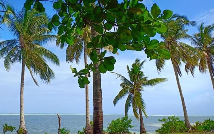 Sol Y Mar Beach Resort 卢纳将军城 外观 照片